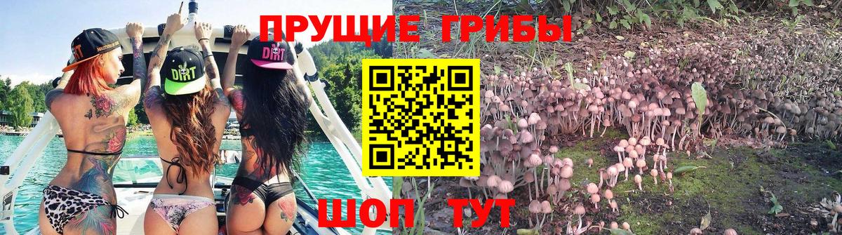 Псилоцибиновые грибы мухоморы Новошахтинск