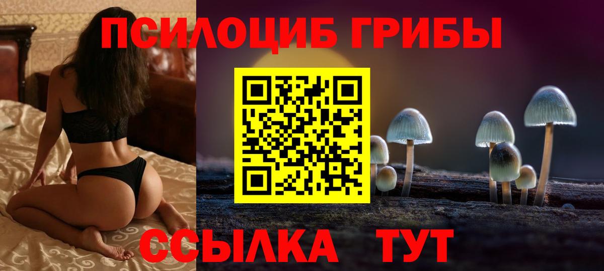 Новошахтинск  Галлюциногенные грибы мухоморы  Псилоцибиновые грибы мицелий  Вход с VPN 